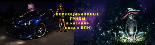 spice Аркадак