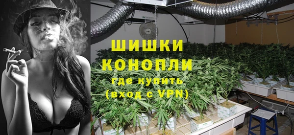 spice Аркадак