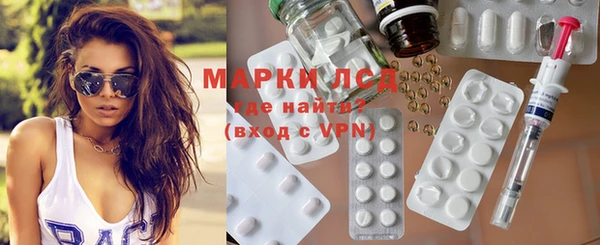spice Аркадак