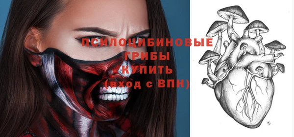 ECSTASY Болхов
