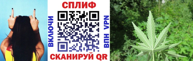Бошки марихуана гибрид  наркотики  Баймак 
